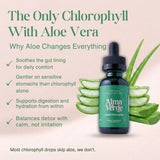 Alma Verde Liquid Chlorophyll Drops bottle with dropper