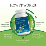 AloeCure Collagen Capsules with Melatonin packaging