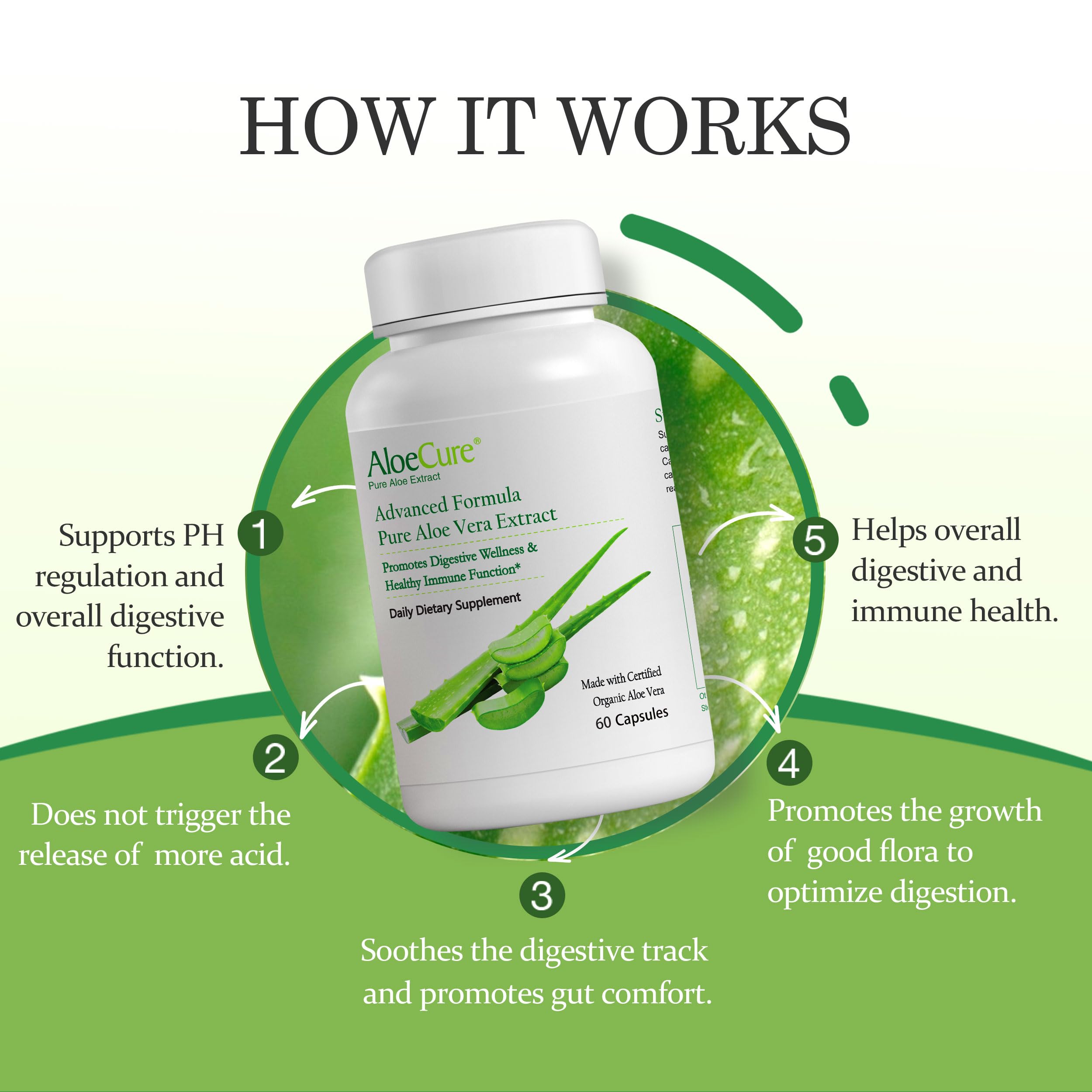 AloeCure Organic Aloe Vera Supplement 45g back view