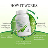 AloeCure Organic Aloe Vera Supplement 45g back view