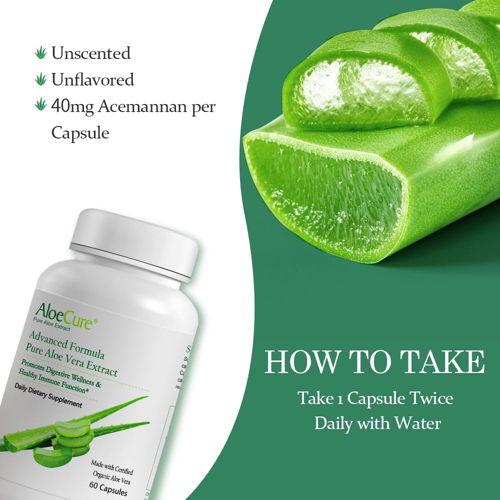 AloeCure Organic Aloe Vera Supplement 45g with aloe vera plant