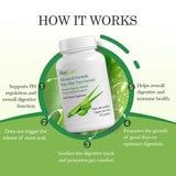 AloeCure Organic Aloe Vera Supplement back label details
