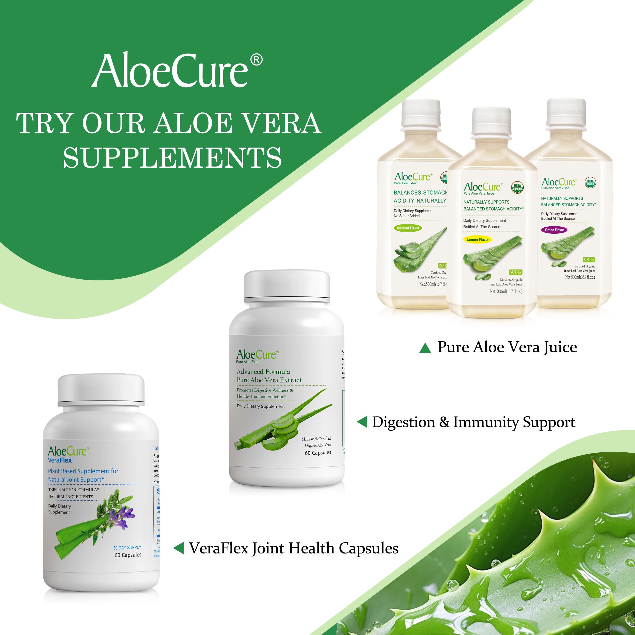 AloeCure Probiotic Prebiotics 10 Billion CFU capsule with daily enzymes