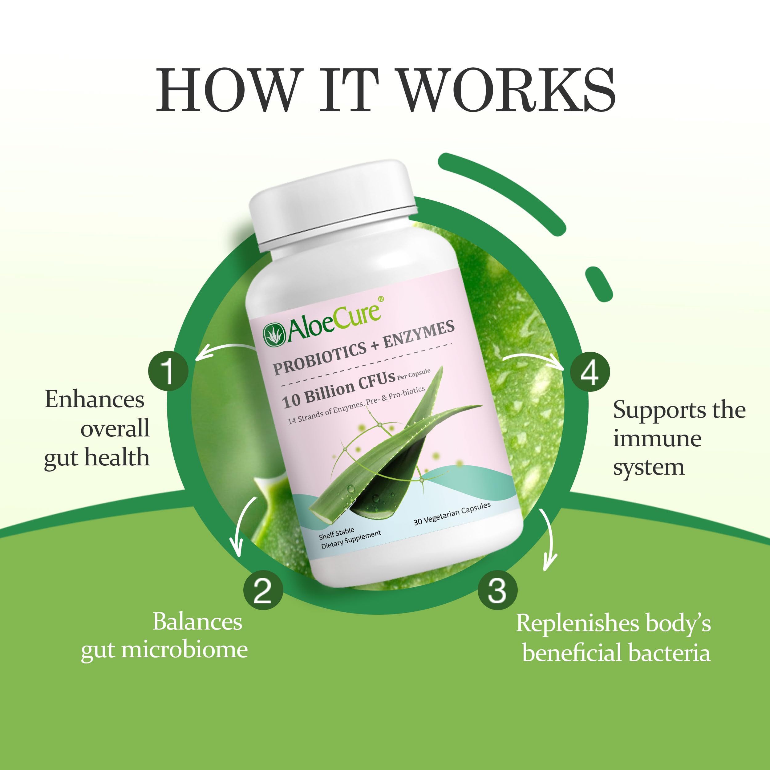 AloeCure Probiotic Prebiotics 10 Billion CFU packaging