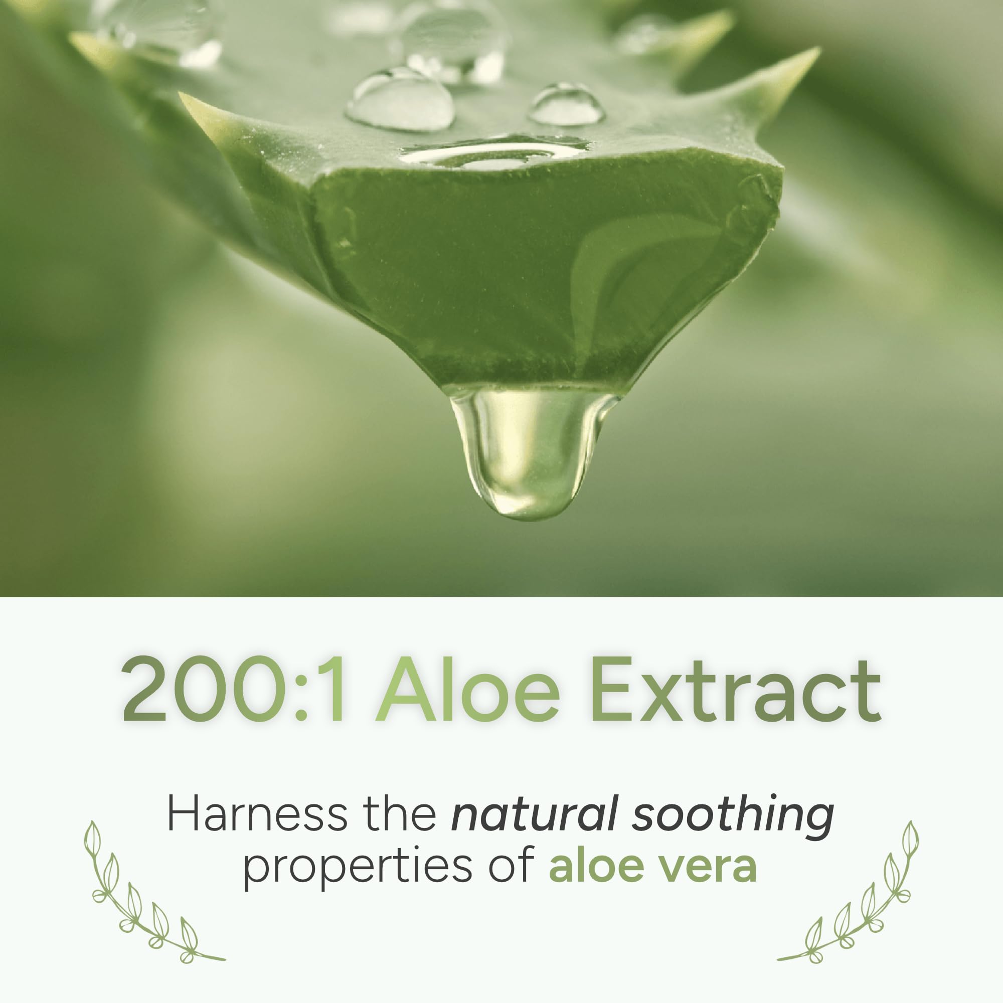 ALOEPATH Aloe Vera Capsules 200:1 Extract back view of bottle