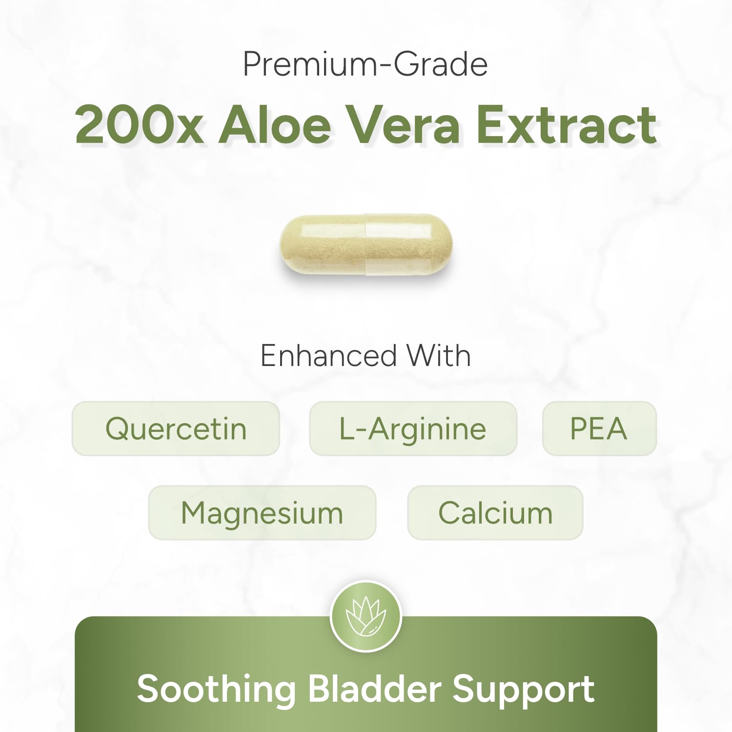 ALOEPATH Aloe Vera Capsules 200:1 Extract bottle with label