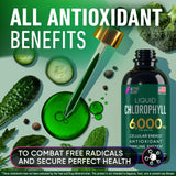 Alpha Flow Chlorophyll Liquid Drops bottle back view