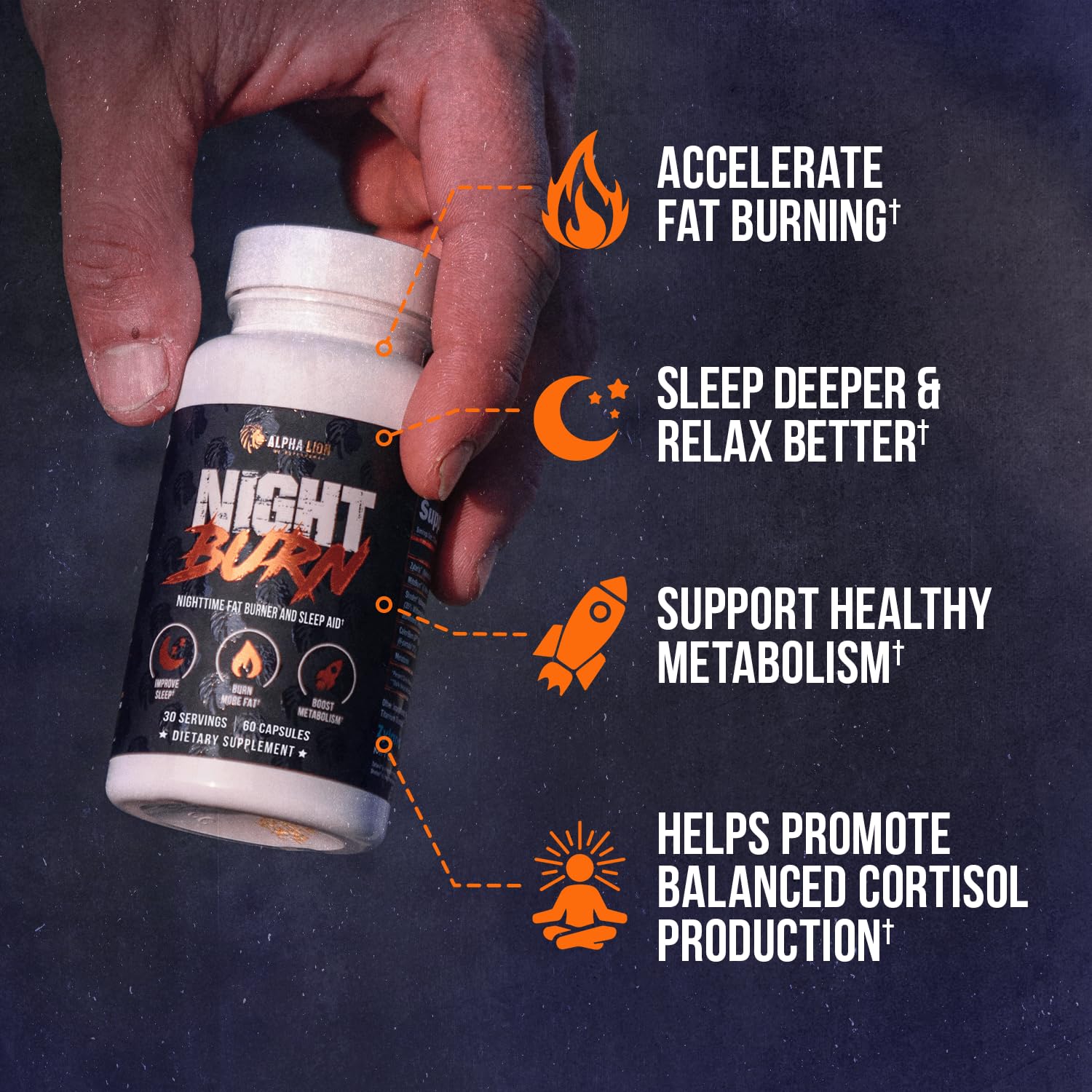 ALPHA LION Night Burn supplement bottle side view