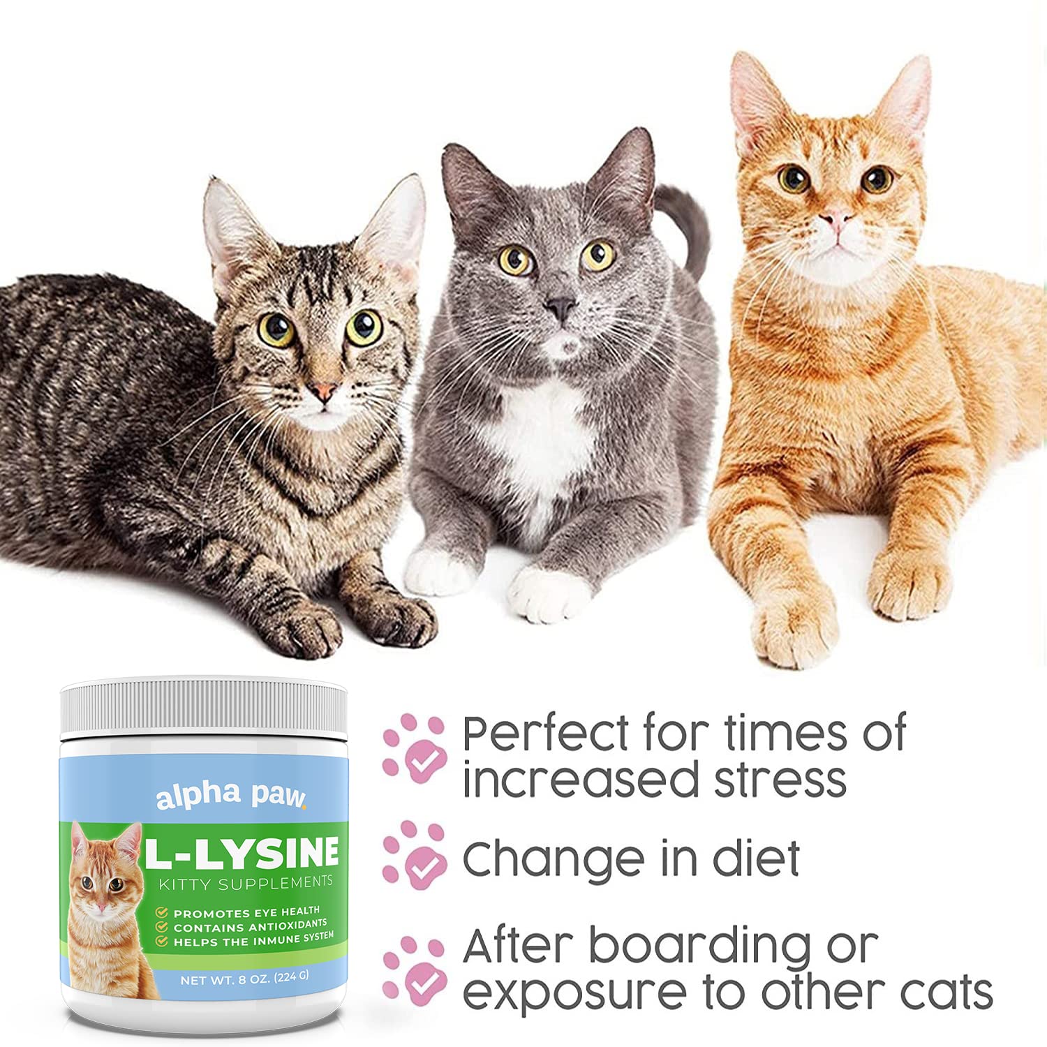 Alpha Paw L-Lysine Powder container on a kitchen counter