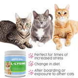 Alpha Paw L-Lysine Powder container on a kitchen counter