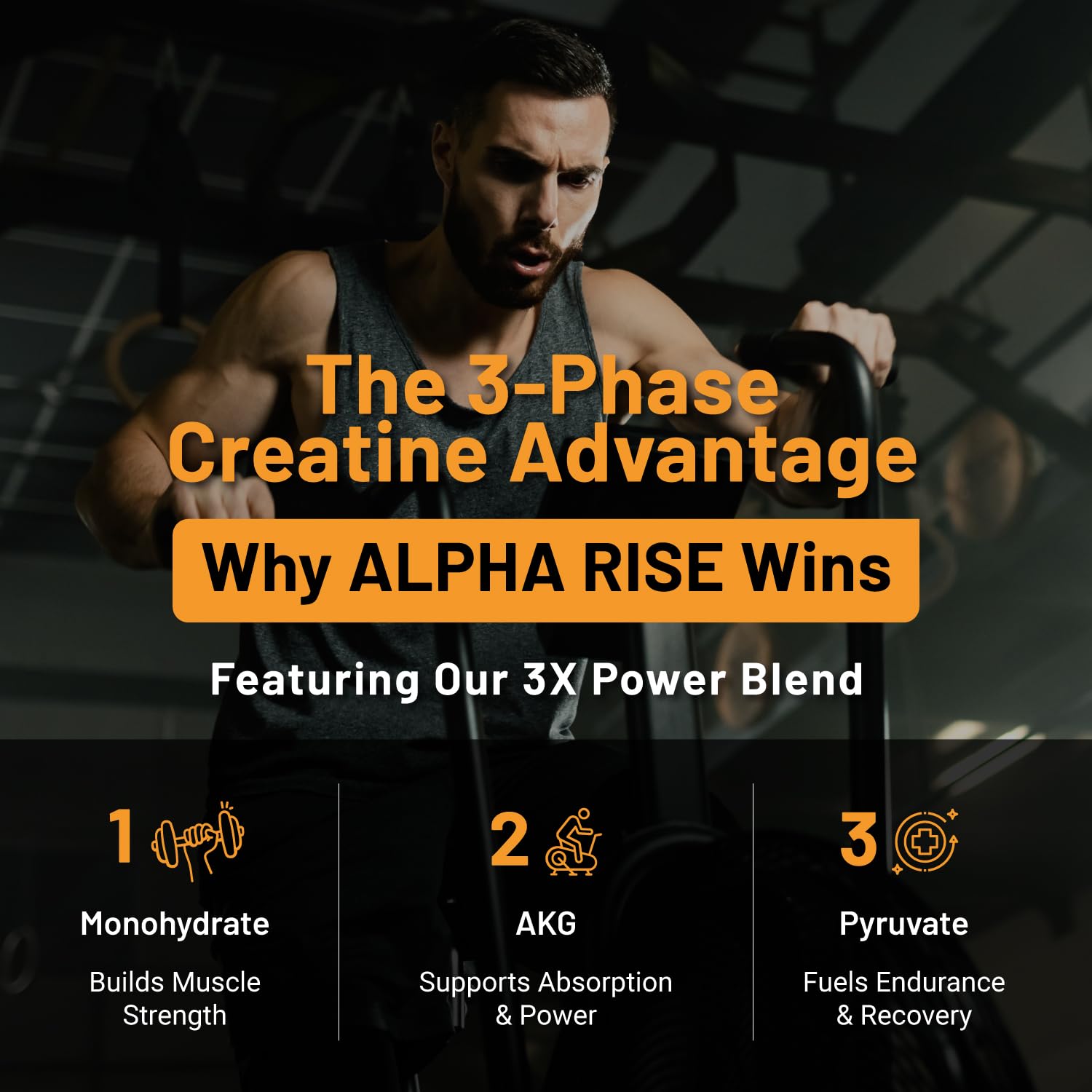 ALPHA RISE Creatine Pills back view showing ingredients