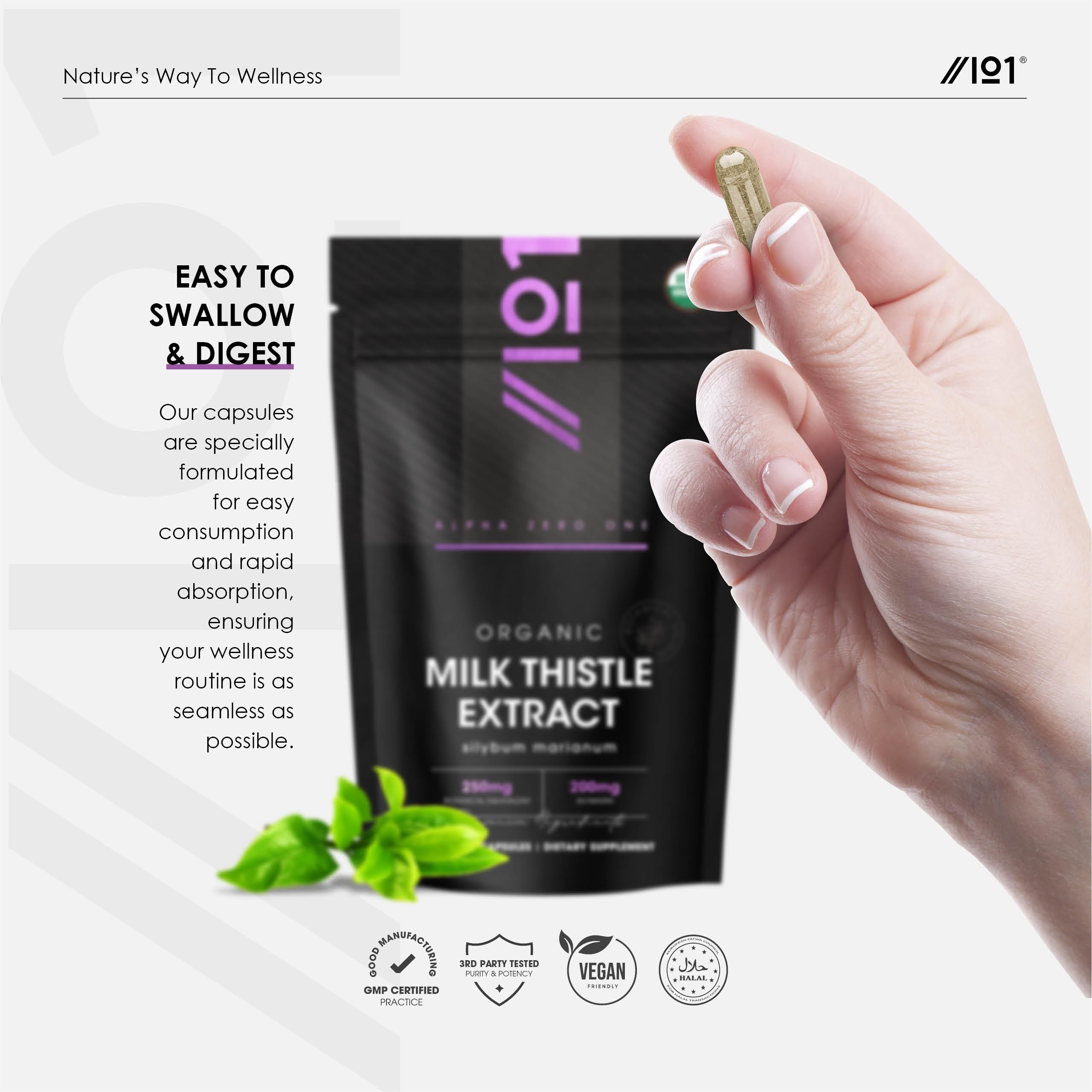 ALPHA01 Milk Thistle Extract 250mg capsules in a hand