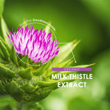 ALPHA01 Milk Thistle Extract 250mg close-up of capsules