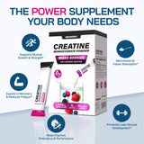AlphaHerb Creapure Creatine Monohydrate stick pack mixed berry flavour
