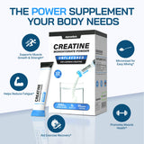 AlphaHerb Creapure Creatine Monohydrate stick pack opened with powder