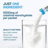 AlphaHerb Creapure Creatine Monohydrate stick packs in a gym bag