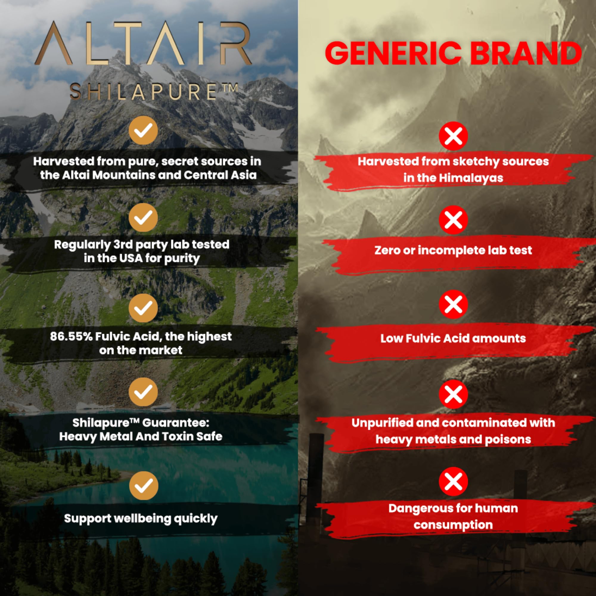 Altair Shilapure Shilajit tablet close-up