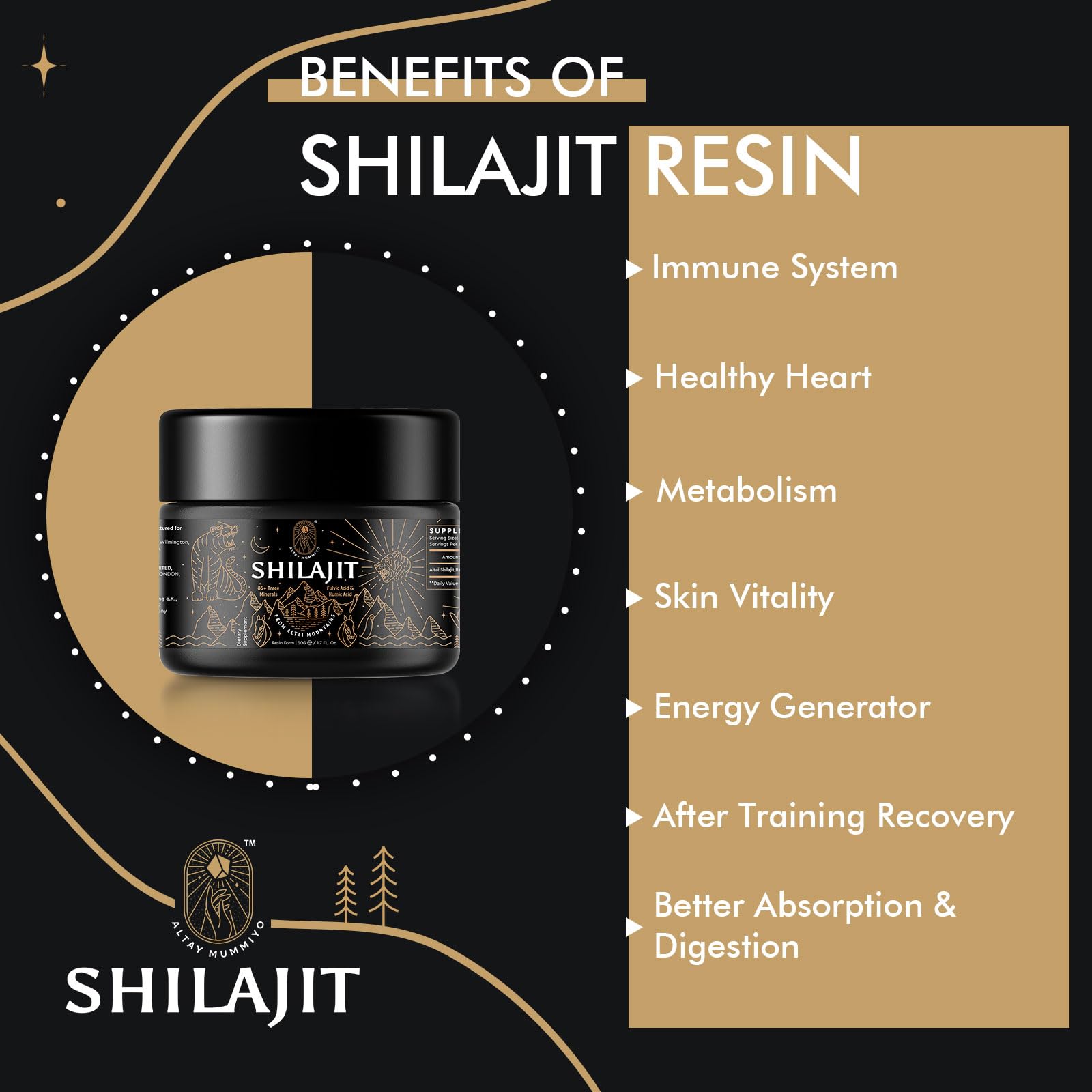 ALTAY MUMMIYO Shilajit Resin close-up of texture