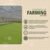 AMA GROW Wolffia Superfood 60g with fresh vegetables