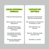 AMANDEAN Liposomal Vitamin C 170g back view showing ingredients