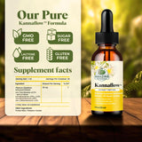 Amazing Botanicals Kanna Tincture 30ml bottle with dropper