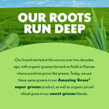 Amazing Grass Berry Green Superfood 318g with fruits