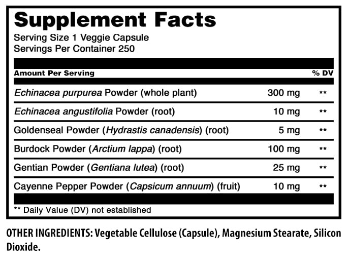 Amazing Nutrition Echinacea Supplement capsule format close-up