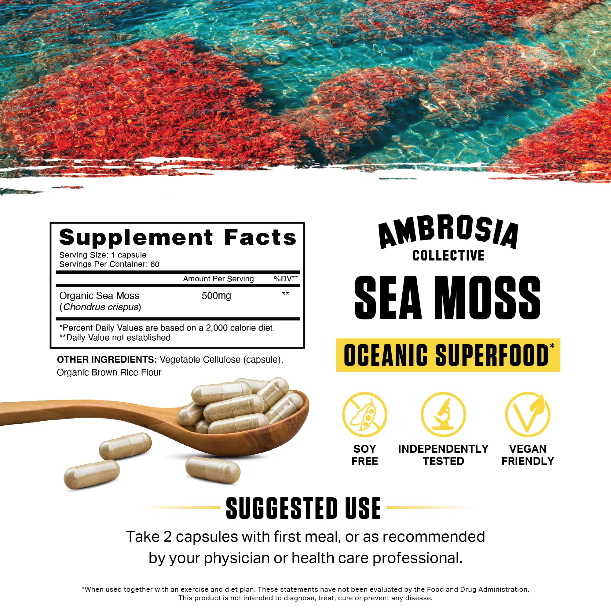 Ambrosia Sea Moss Organic Superfood 82g packaging