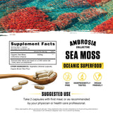 Ambrosia Sea Moss Organic Superfood 82g packaging
