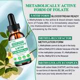 AMENQ hHEALTH L-Methylfolate 5-MTHF Plus Methyl B12 Drops 60ml ingredients list