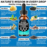 AMENQ hHEALTH Sea Moss Drops bottle with ingredients list