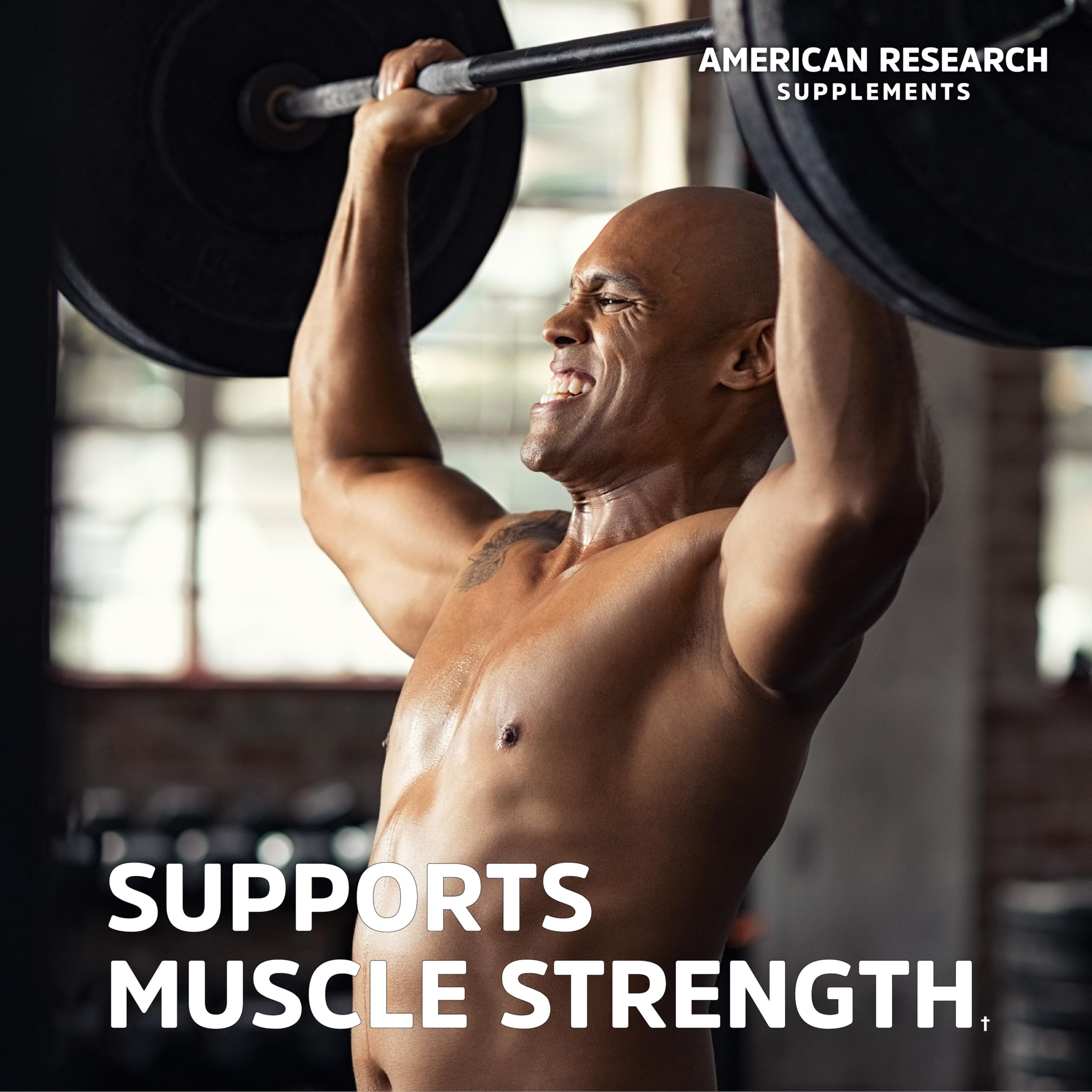 American Research Supplements Creatine Monohydrate capsules in hand