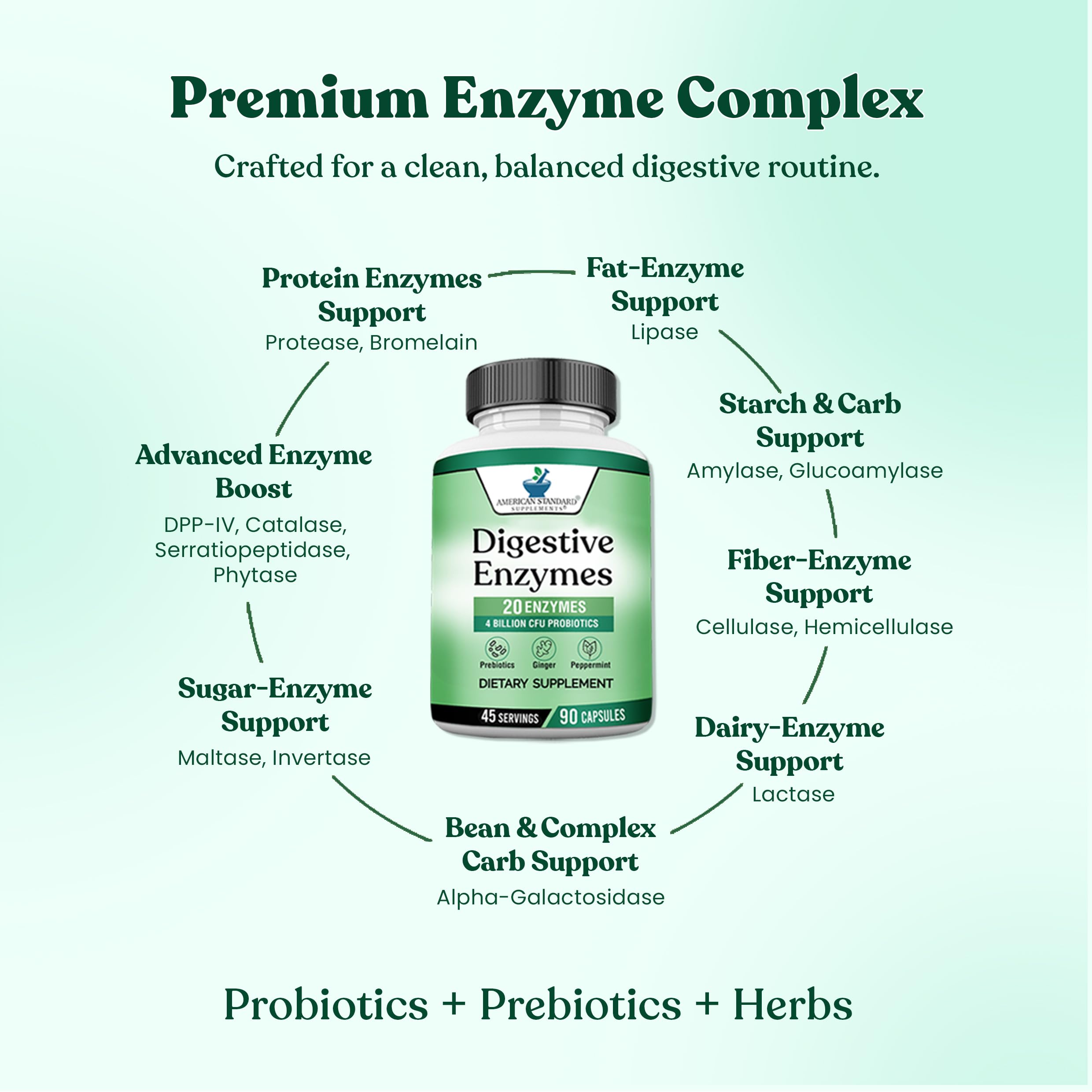 American Standard Multi-Enzymes 400mg capsules in hand