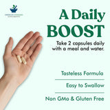 American Standard Multi-Enzymes 400mg close-up of capsules