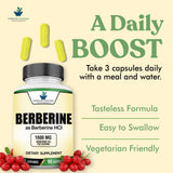 American Standard Supplements Berberine HCL 1800mg capsules on a wooden table