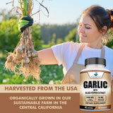 American Standard Supplements Garlic 2400mg ingredients list