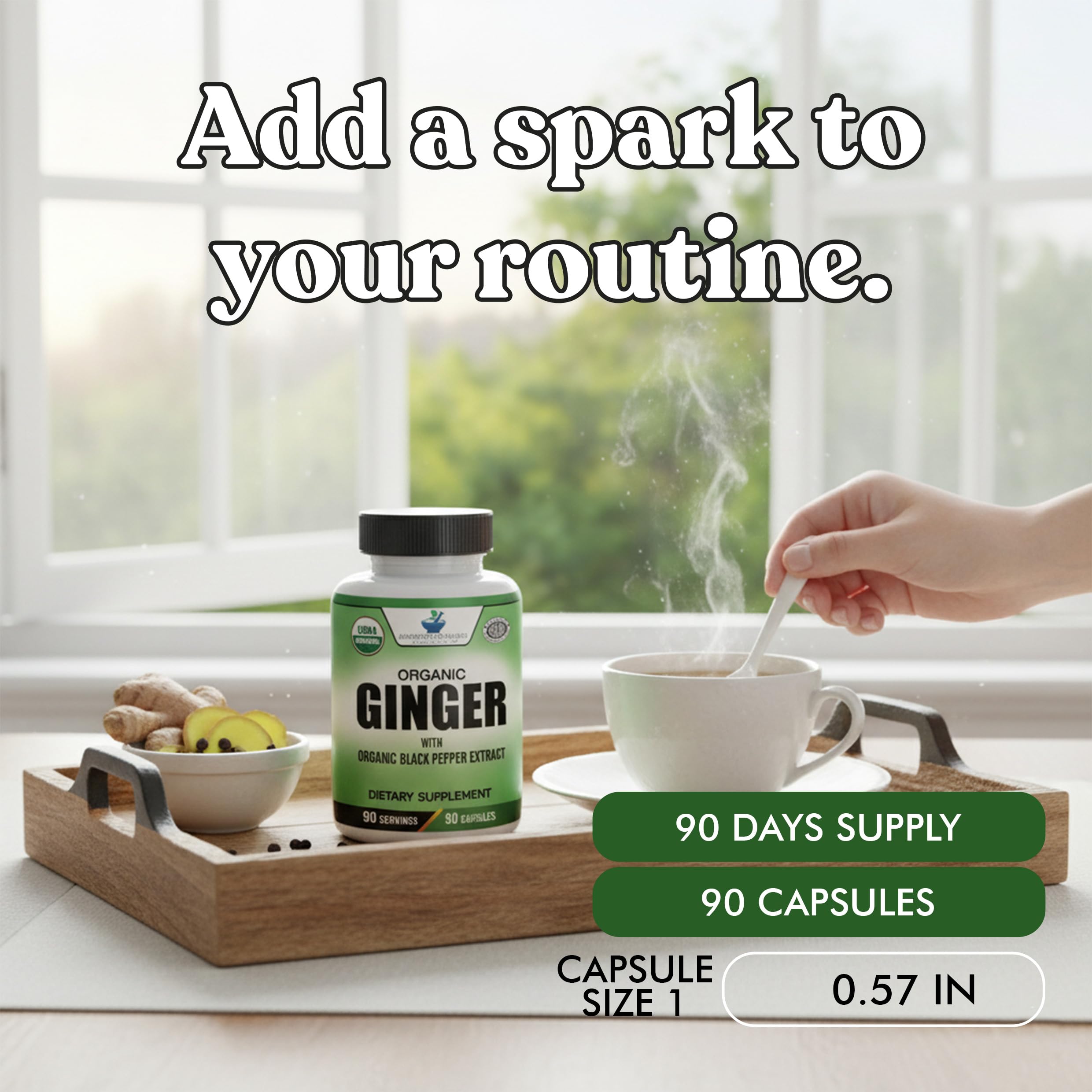 American Standard Supplements Organic Ginger Capsules with opened lid