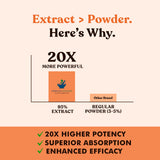 American Standard Supplements Turmeric Capsules with Ginger and Black Pepper ingredients list
