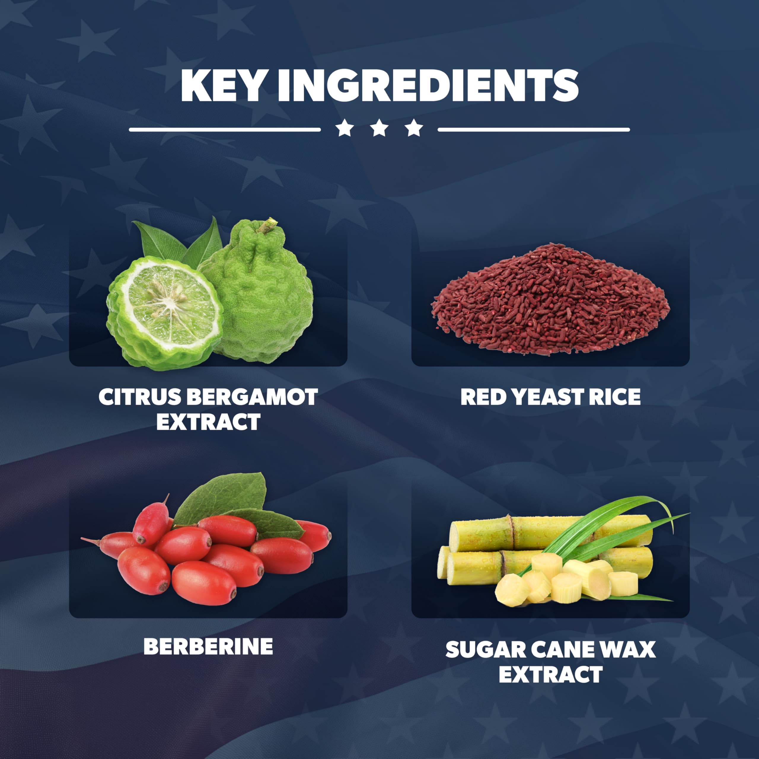 AMERICAN VITALITY Liberty Heart Red Yeast Rice Supplement ingredients list