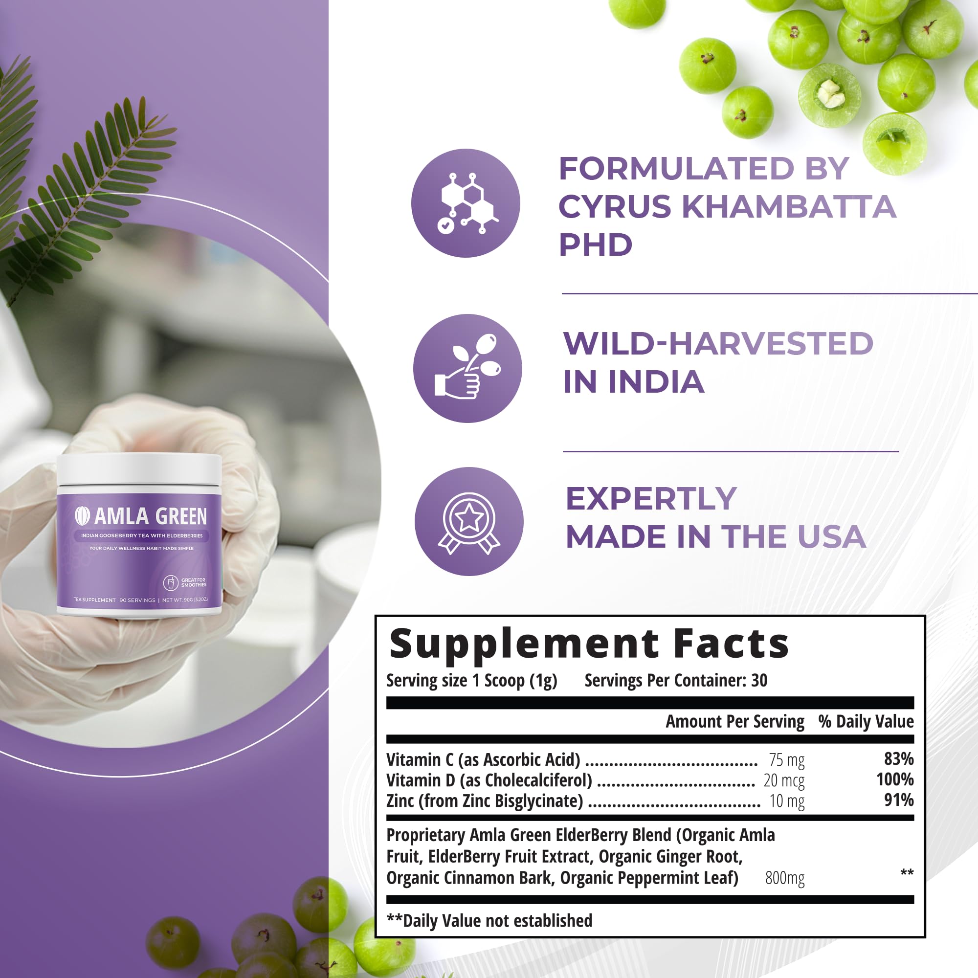 Amla Green Amla Powder Supplement scoop inside container