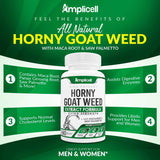 Amplicell Dong Quai Herbal Supplement in a lifestyle setting