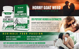 Amplicell Dong Quai Herbal Supplement packaging details