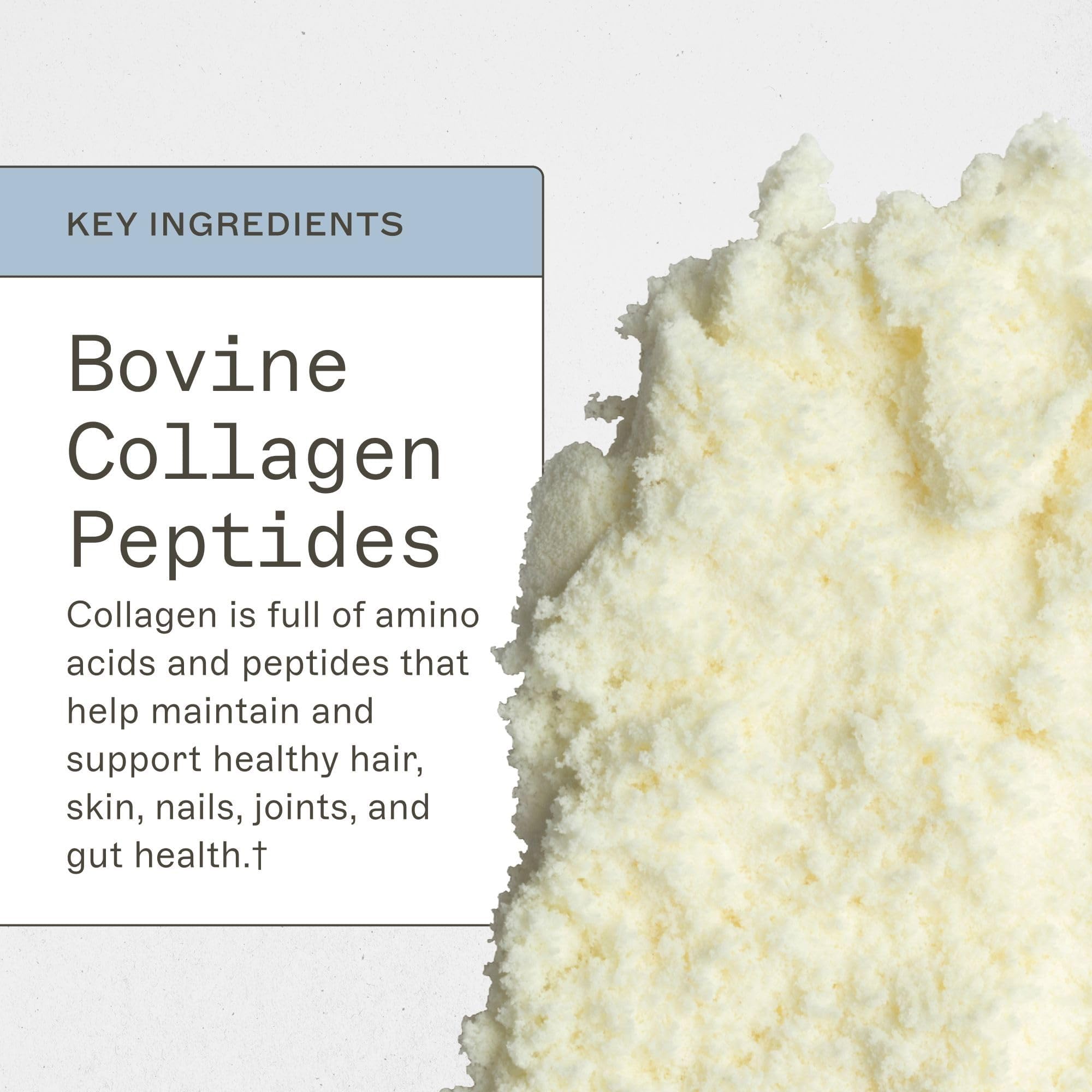 Amy Myers MD Collagen Protein Supplement ingredients list