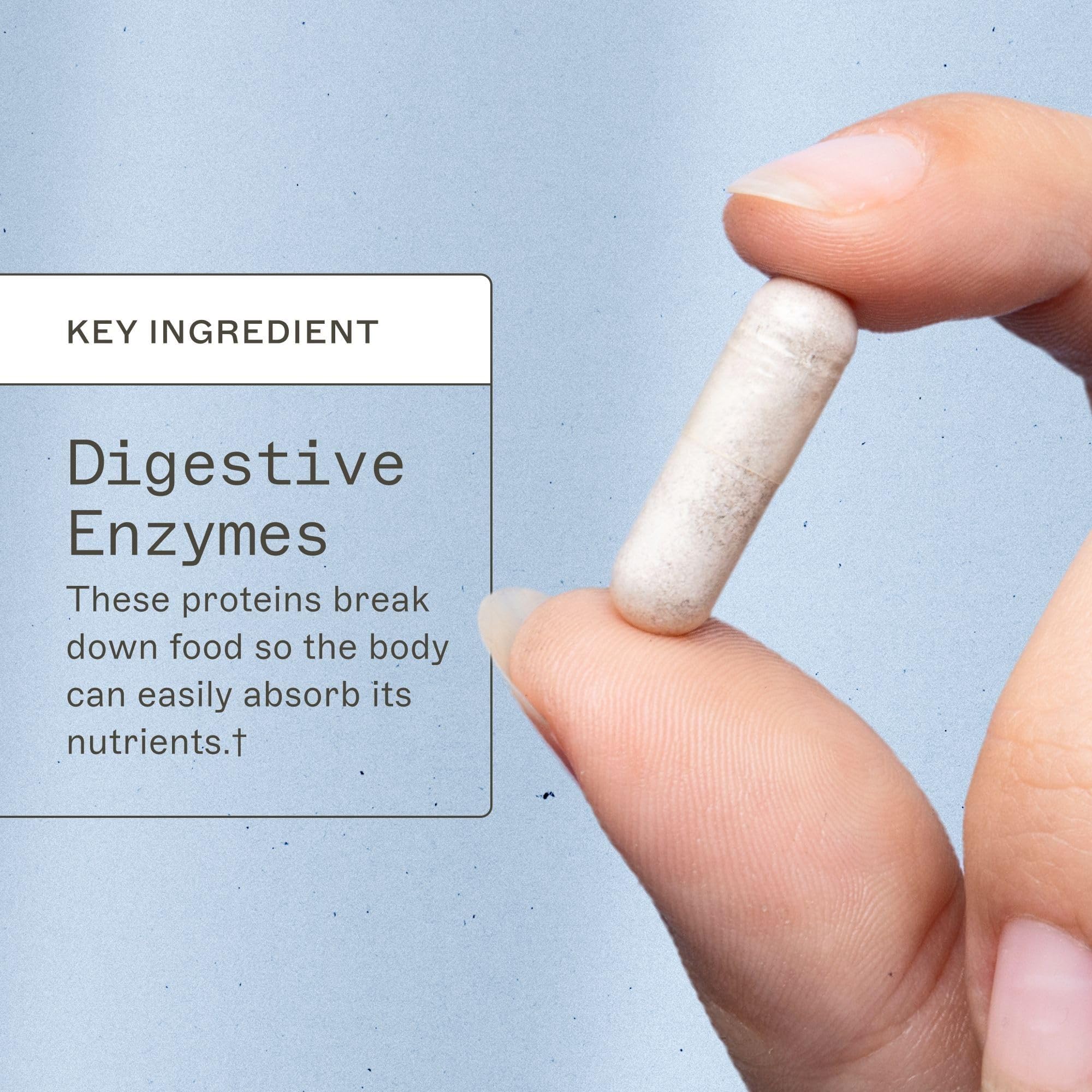 Amy Myers MD Multi-Enzymes 91g capsules in a clear container