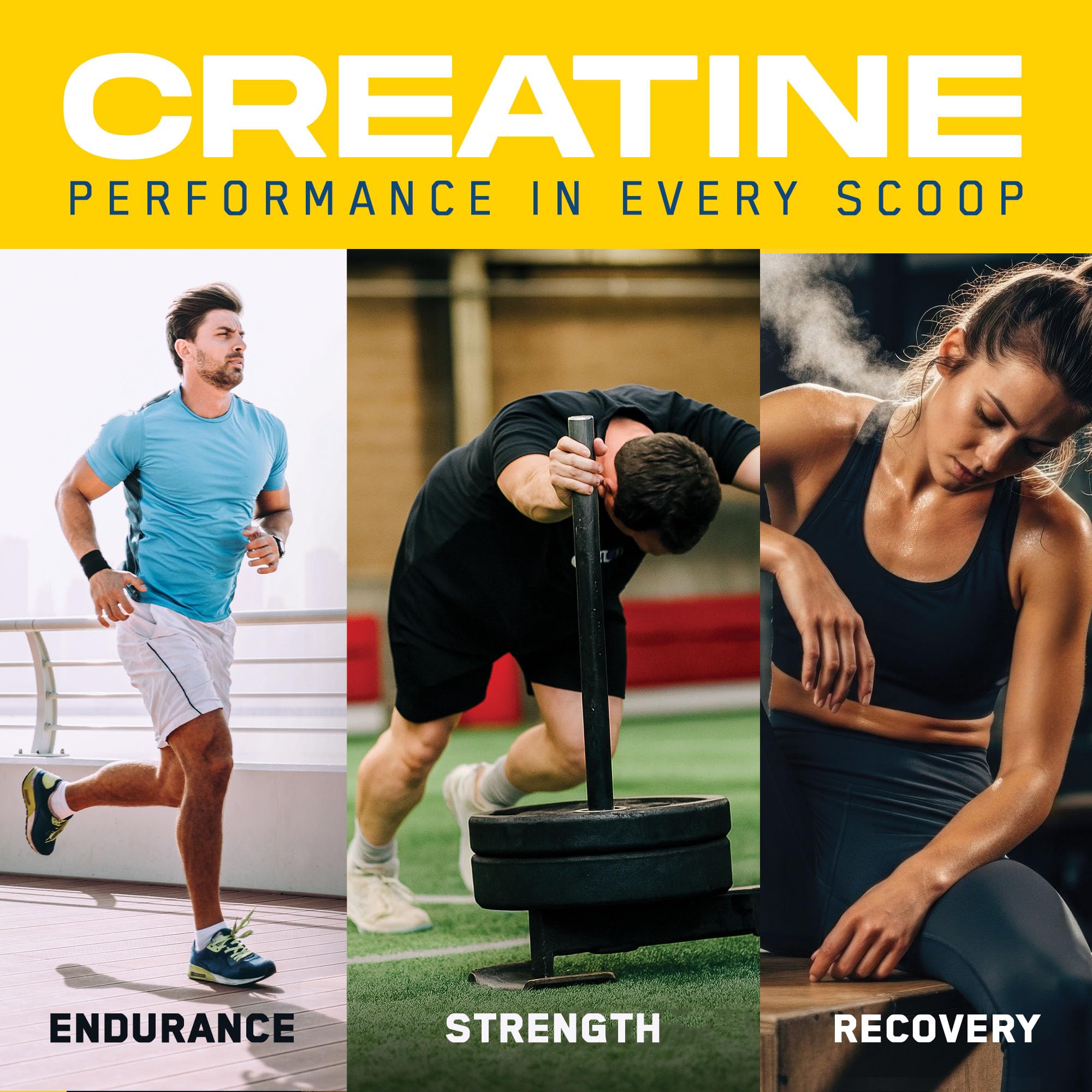 AN Performance Creatine + Peptide 444g back view