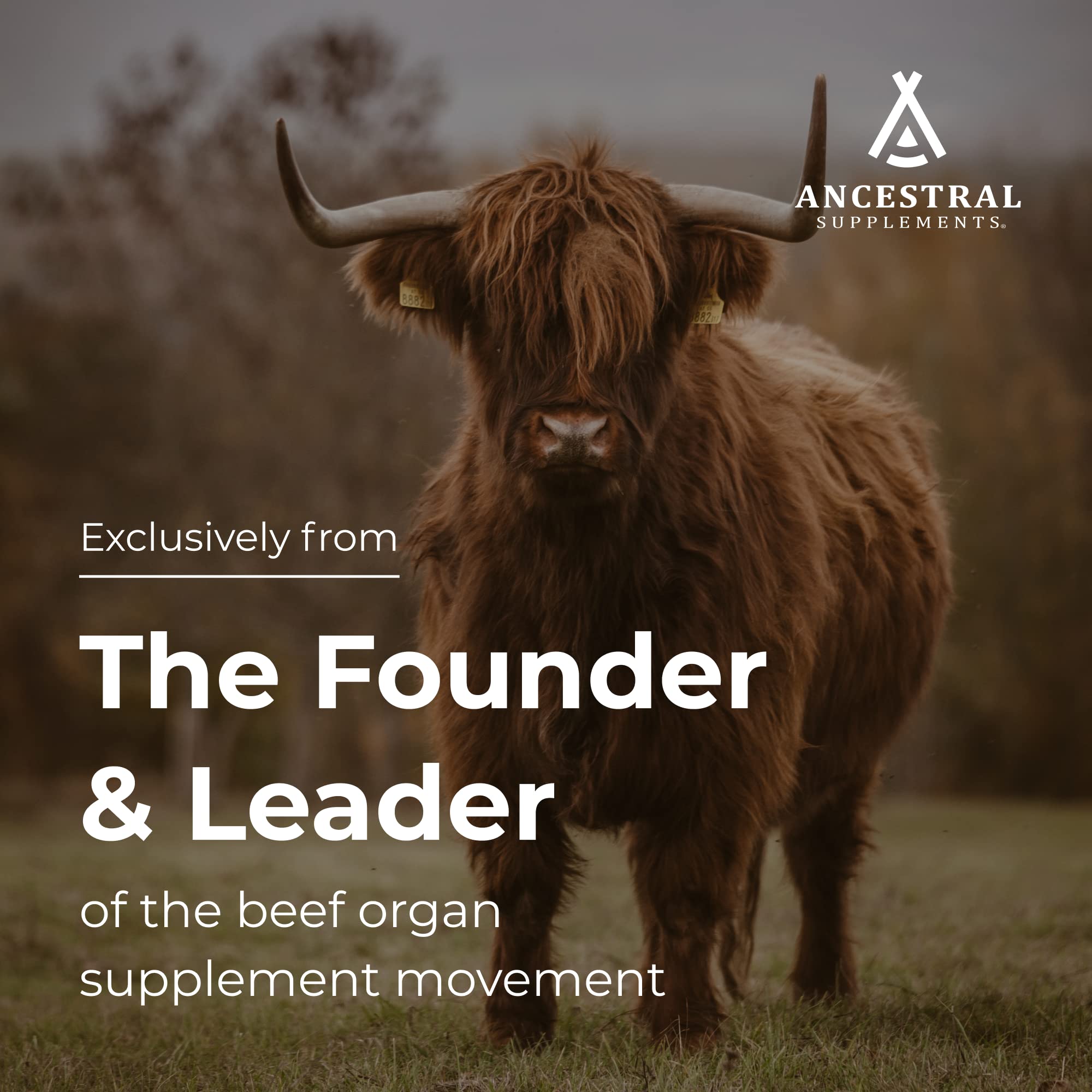 Ancestral Supplements Beef Organ Supplement ingredients list