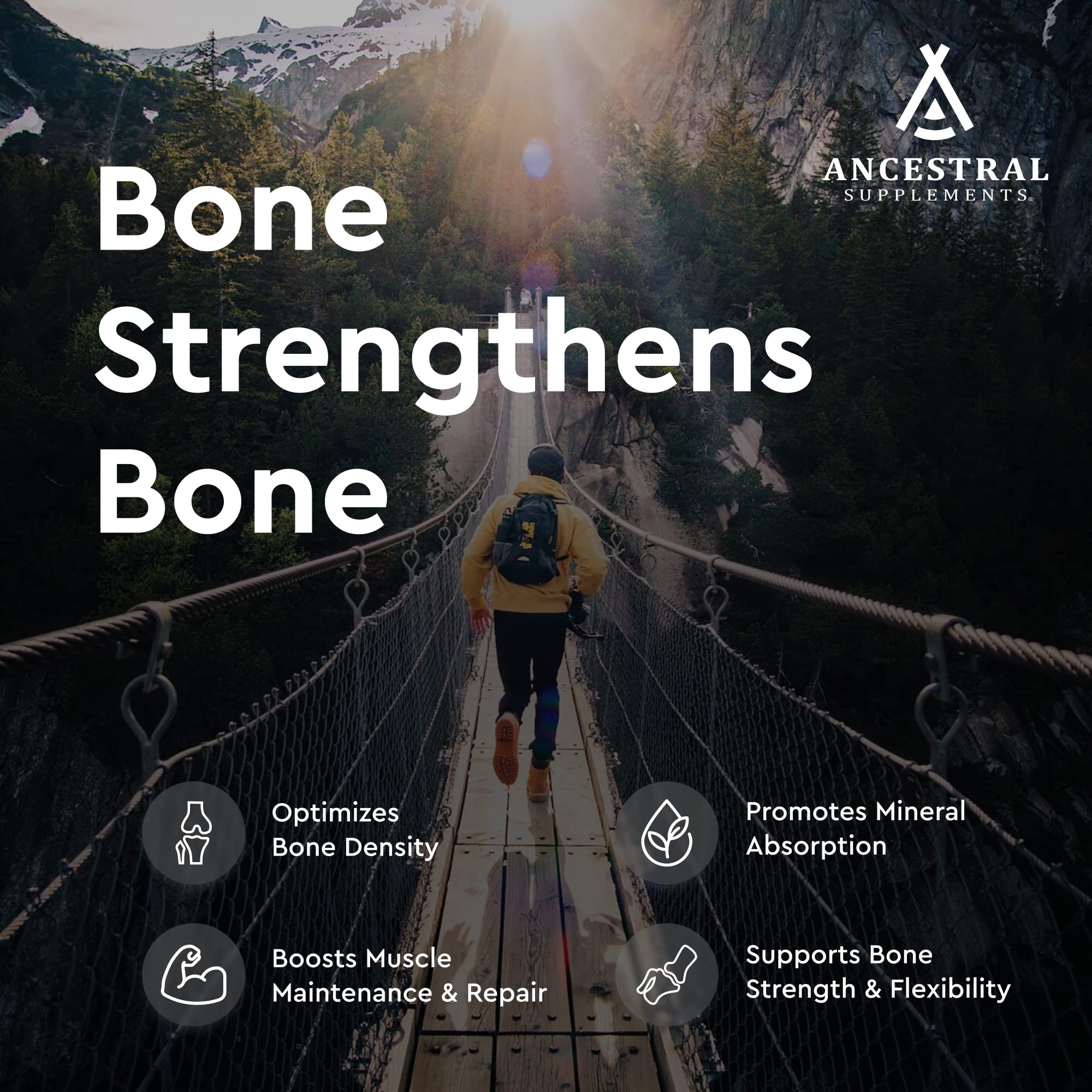 Ancestral Supplements Bone Beef Organ Supplement back view