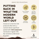 Ancestral Supplements Colostrum Powder in a gym bag for on-the-go use