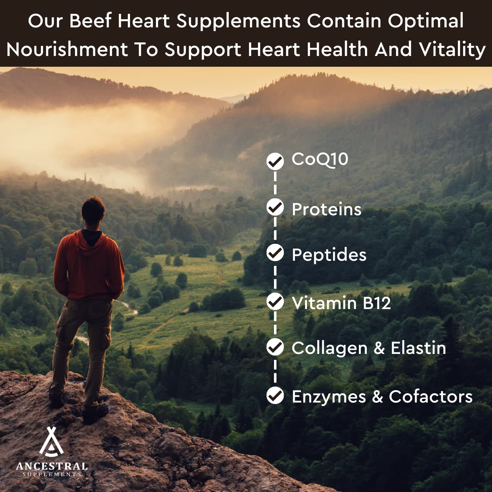 Ancestral Supplements CoQ10 Heart Supplement bottle with capsules displayed