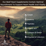 Ancestral Supplements CoQ10 Heart Supplement bottle with capsules displayed